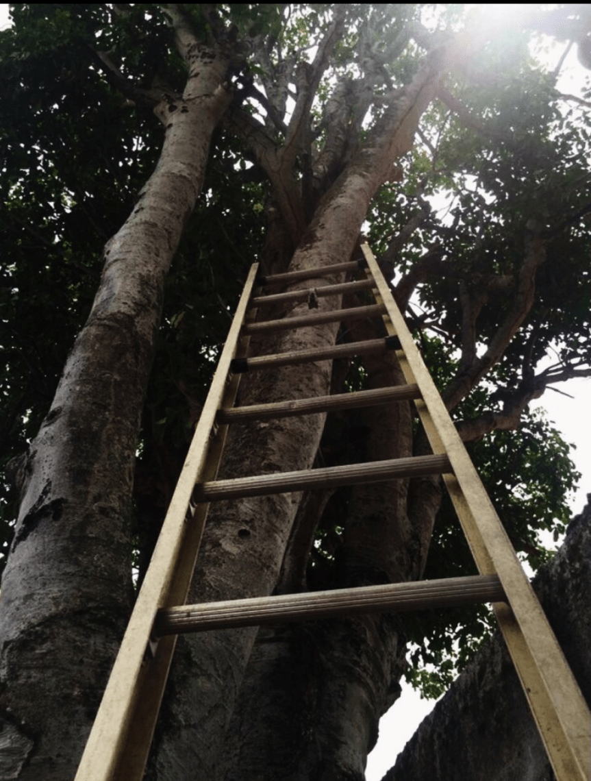 QUE EL DESIERTO NO TE&nbsp;LÍMITE