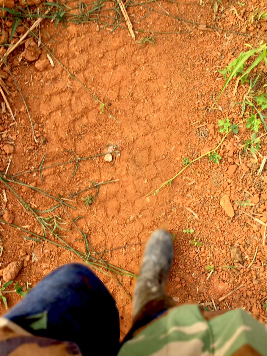 LA TENTACIÓN –&nbsp;AUTORIDAD