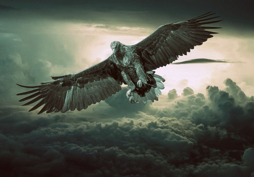 eagle-.jpg