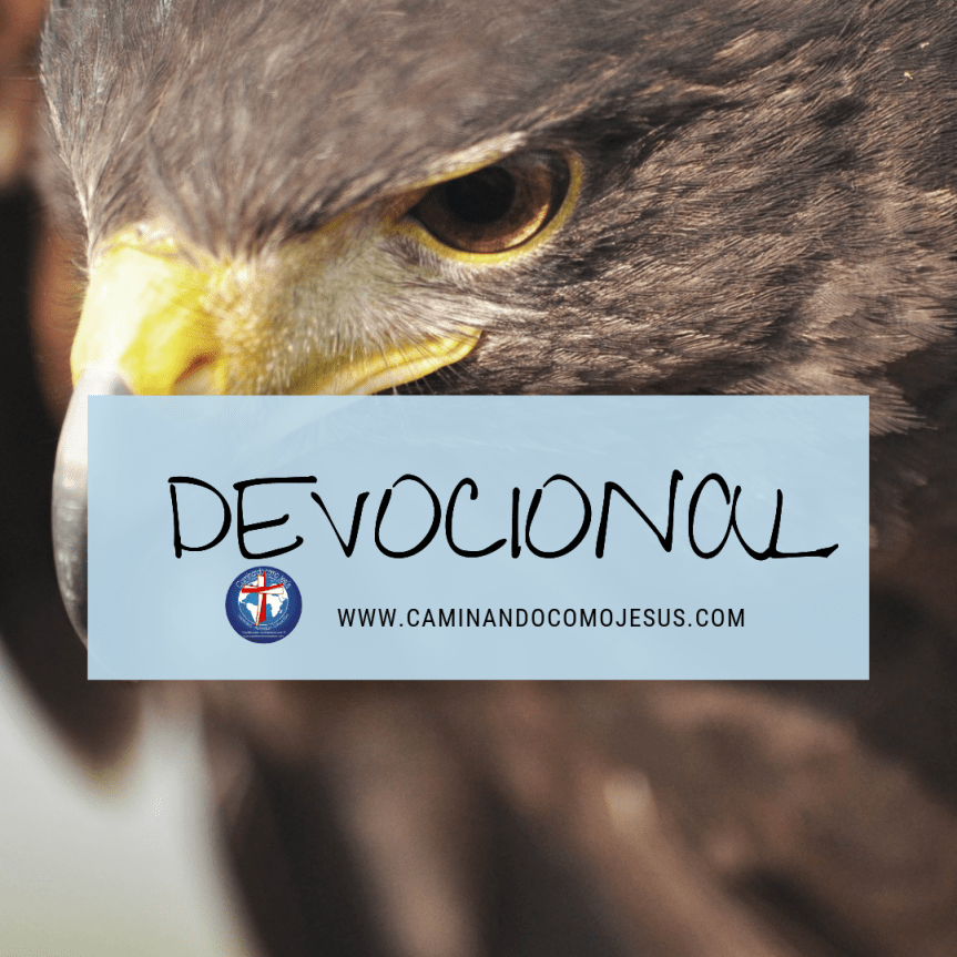 Devocional.png