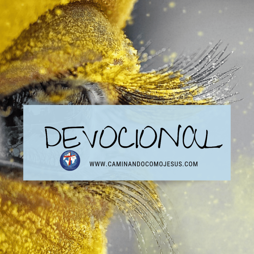 Devocional.png