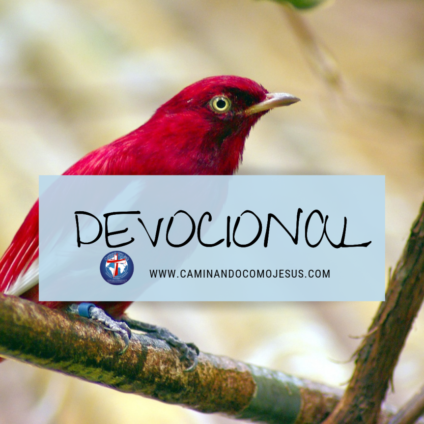 Devocional.png