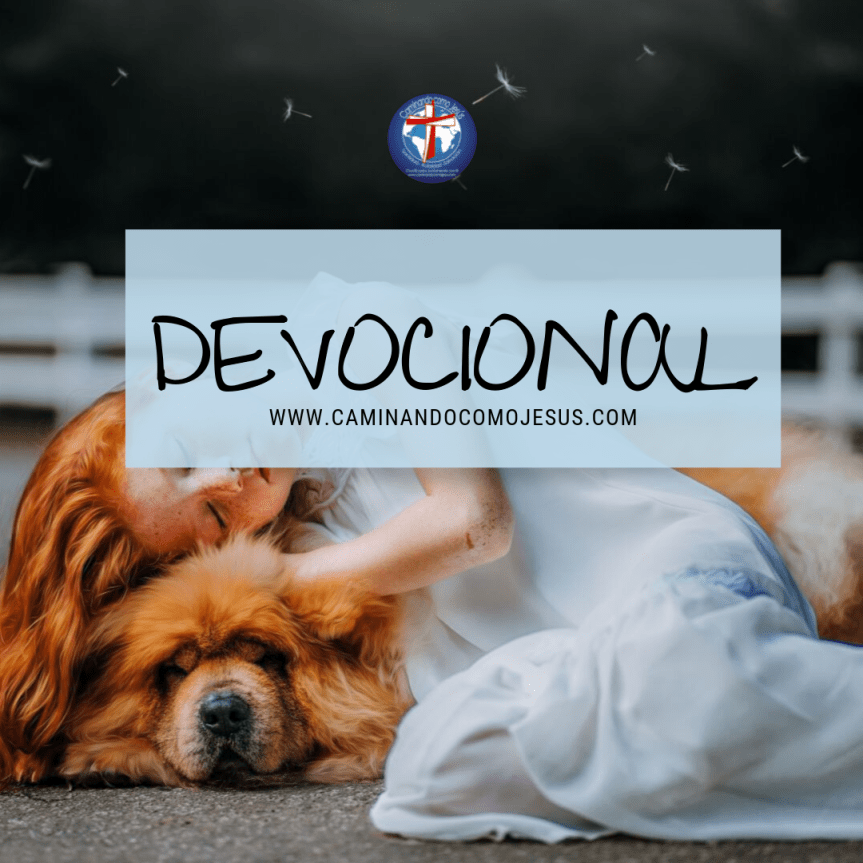 Devocional .png