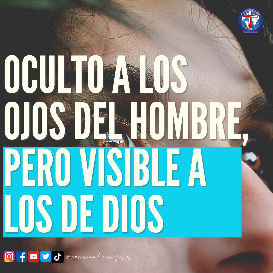 OCULTO A LOS OJOS DEL HOMBRE, PERO VISIBLE A LOS DE DIOS – Caminando ...