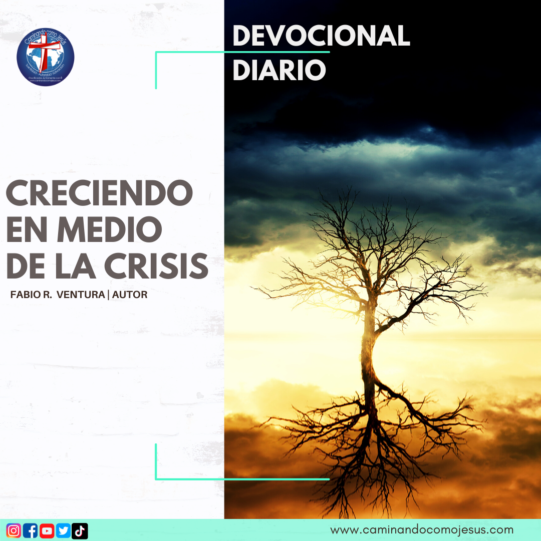 CRECIENDO EN MEDIO DE LA CRISIS – Caminando como Jesús